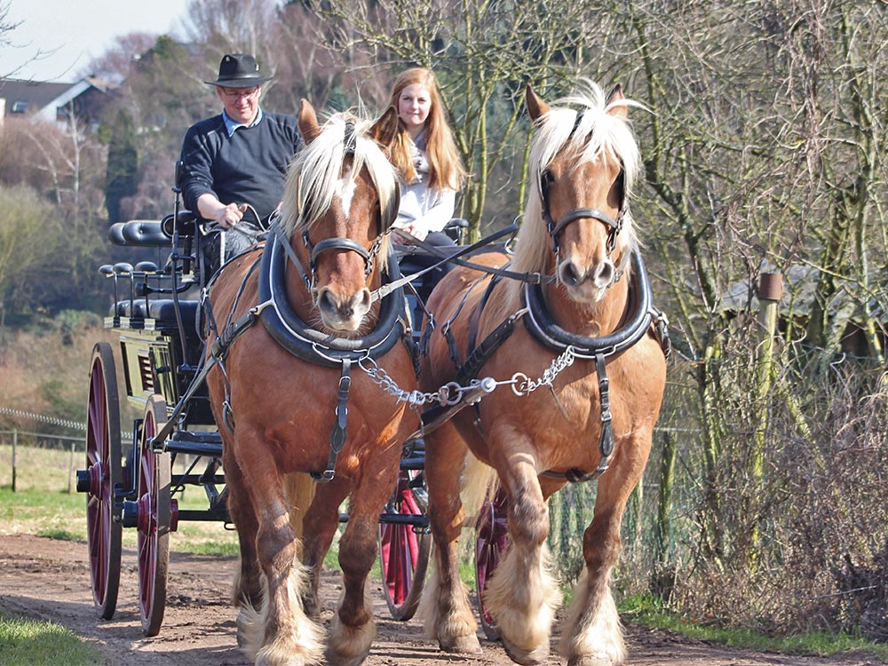 planwagen-kutschfahrten
