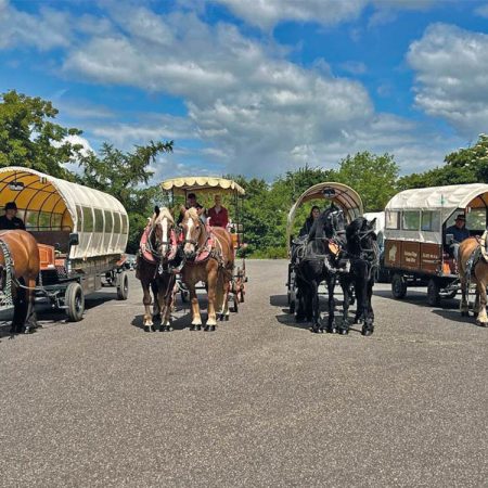 Bilde-Planwagen-mehrere